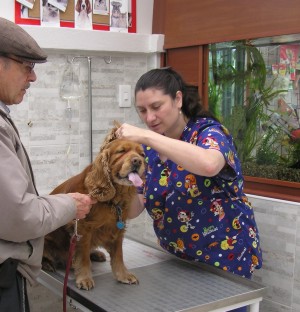 Dermatología para Mascotas